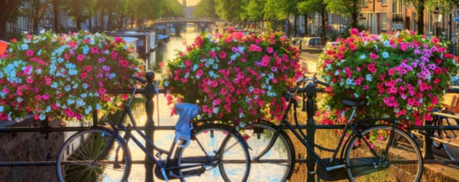 Amsterdam flowers bikes